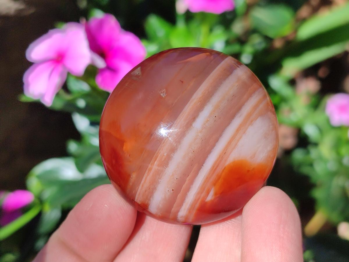 Polished and Natural Carnelian Agate Gemstone Galets x 20 From Madagascar