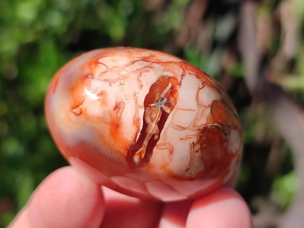 Polished and Natural Carnelian Agate Gemstone Galets x 20 From Madagascar