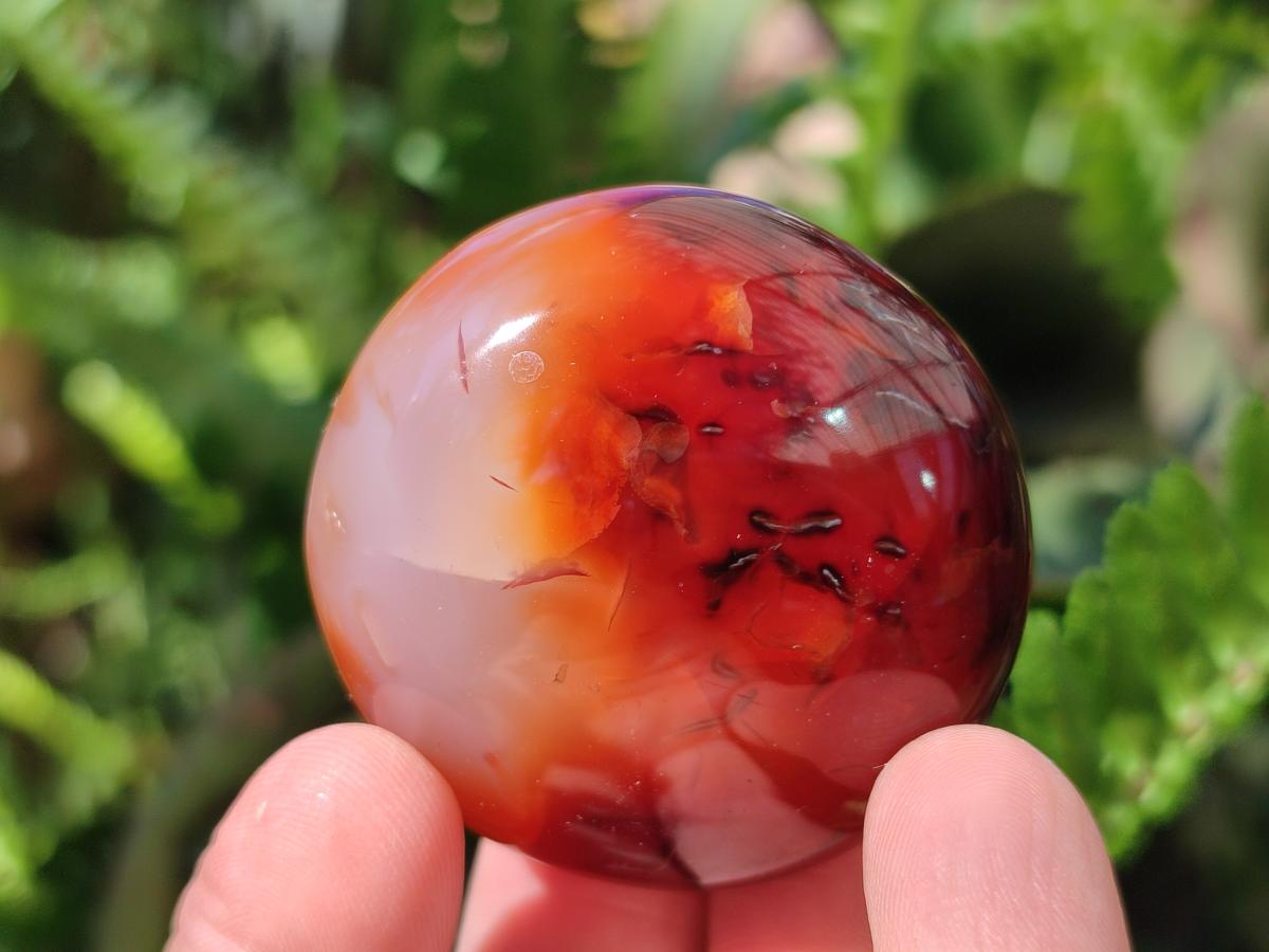 Polished and Natural Carnelian Agate Gemstone Galets x 20 From Madagascar