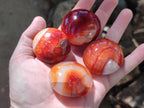 Polished and Natural Carnelian Agate Gemstone Galets x 20 From Madagascar