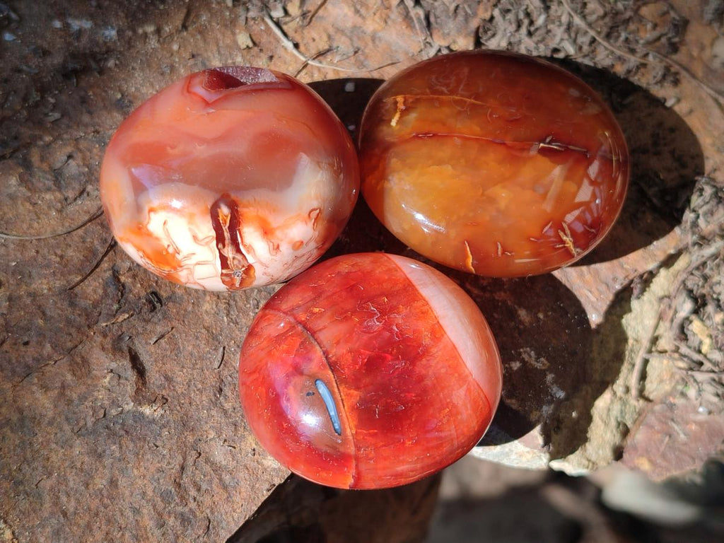 Polished and Natural Carnelian Agate Gemstone Galets x 20 From Madagascar