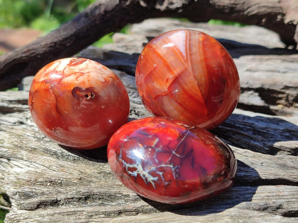 Polished and Natural Carnelian Agate Gemstone Galets x 20 From Madagascar
