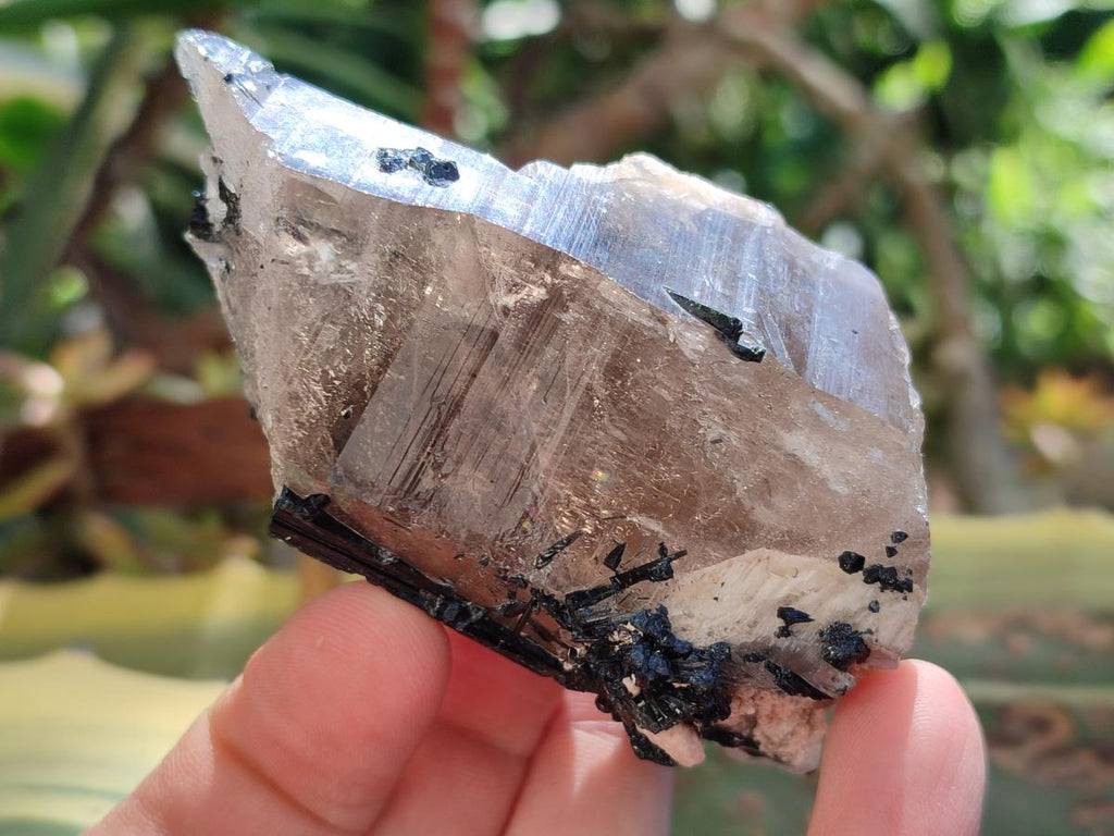 Natural Smokey Quartz Crystals and Clusters with Associated Minerals x 4 From Erongo, Namibia