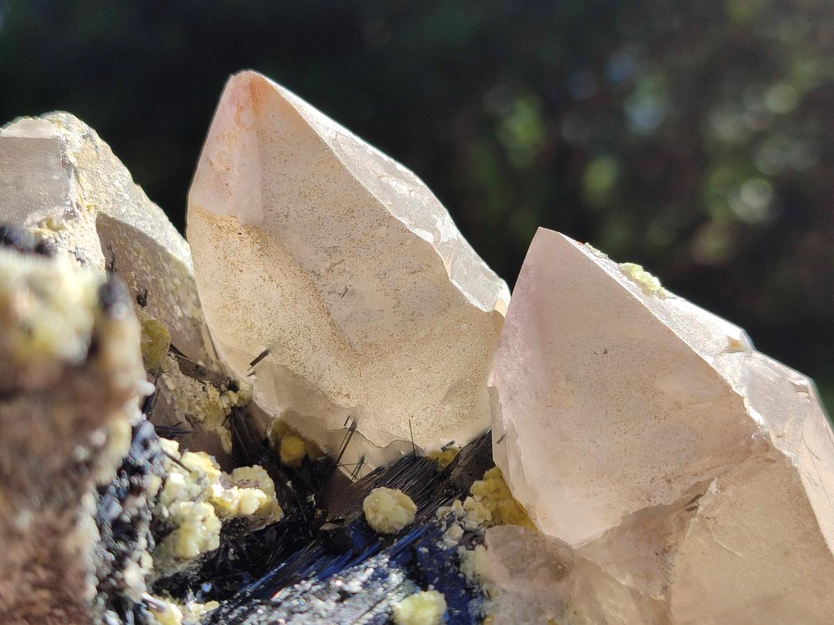 Natural Smokey Quartz Crystals and Clusters with Associated Minerals x 4 From Erongo, Namibia