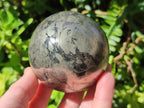 Polished Basalt Pharaoh Stone Spheres x 2 From Iron Duke Mine, Zimbabwe