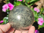 Polished Basalt Pharaoh Stone Spheres x 2 From Iron Duke Mine, Zimbabwe