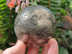Polished Basalt Pharaoh Stone Spheres x 2 From Iron Duke Mine, Zimbabwe