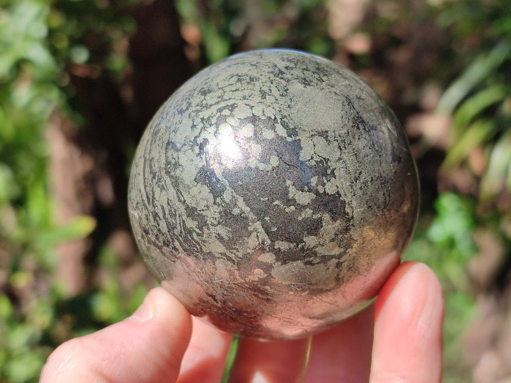 Polished Basalt Pharaoh Stone Spheres x 2 From Iron Duke Mine, Zimbabwe
