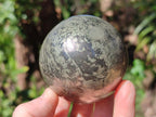 Polished Basalt Pharaoh Stone Spheres x 2 From Iron Duke Mine, Zimbabwe