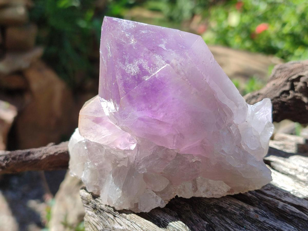 Natural Jacaranda Amethyst Crystals and Clusters x 8 From Zambia