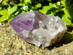 Natural Jacaranda Amethyst Crystals and Clusters x 8 From Zambia