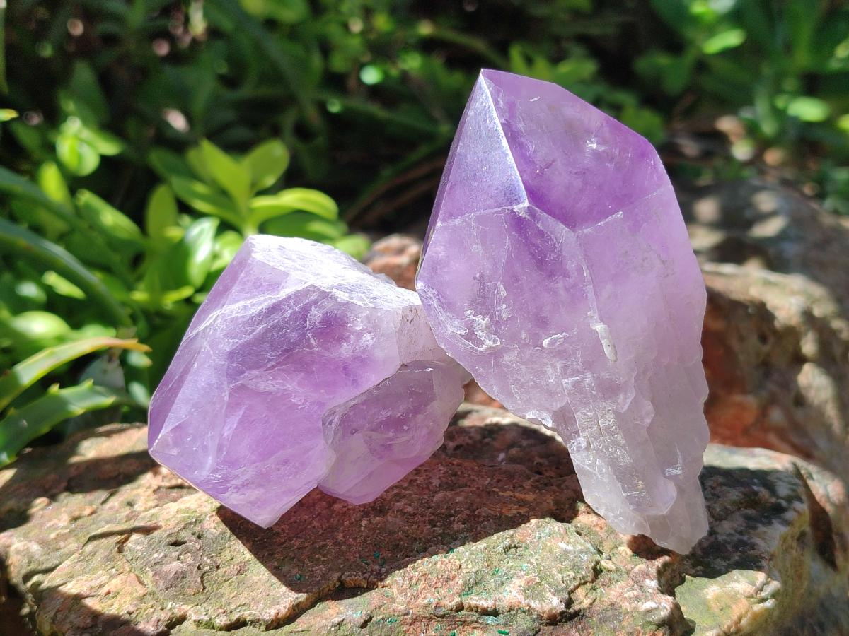 Natural Jacaranda Amethyst Crystals and Clusters x 8 From Zambia