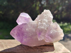 Natural Jacaranda Amethyst Crystals and Clusters x 8 From Zambia