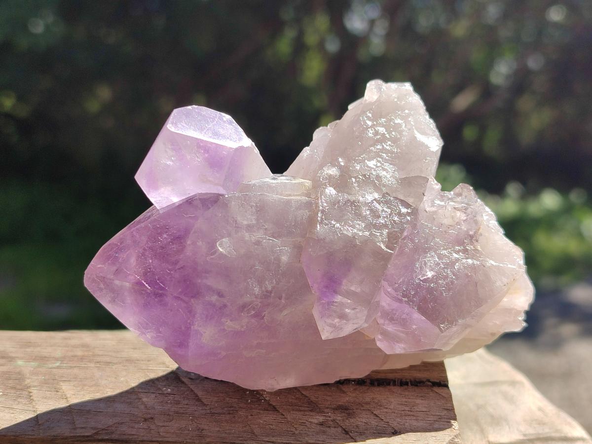Natural Jacaranda Amethyst Crystals and Clusters x 8 From Zambia
