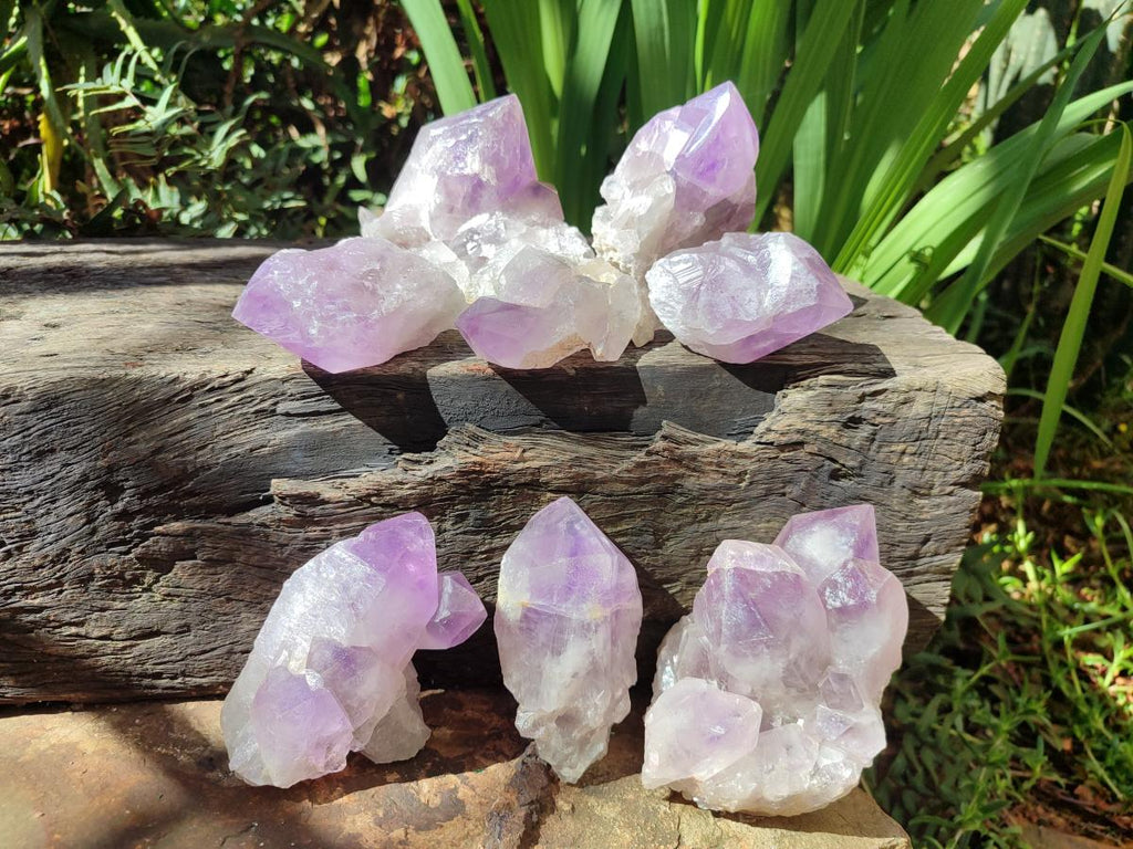 Natural Jacaranda Amethyst Crystals and Clusters x 8 From Zambia