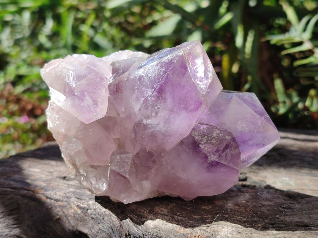 Natural Jacaranda Amethyst Crystals and Clusters x 8 From Zambia