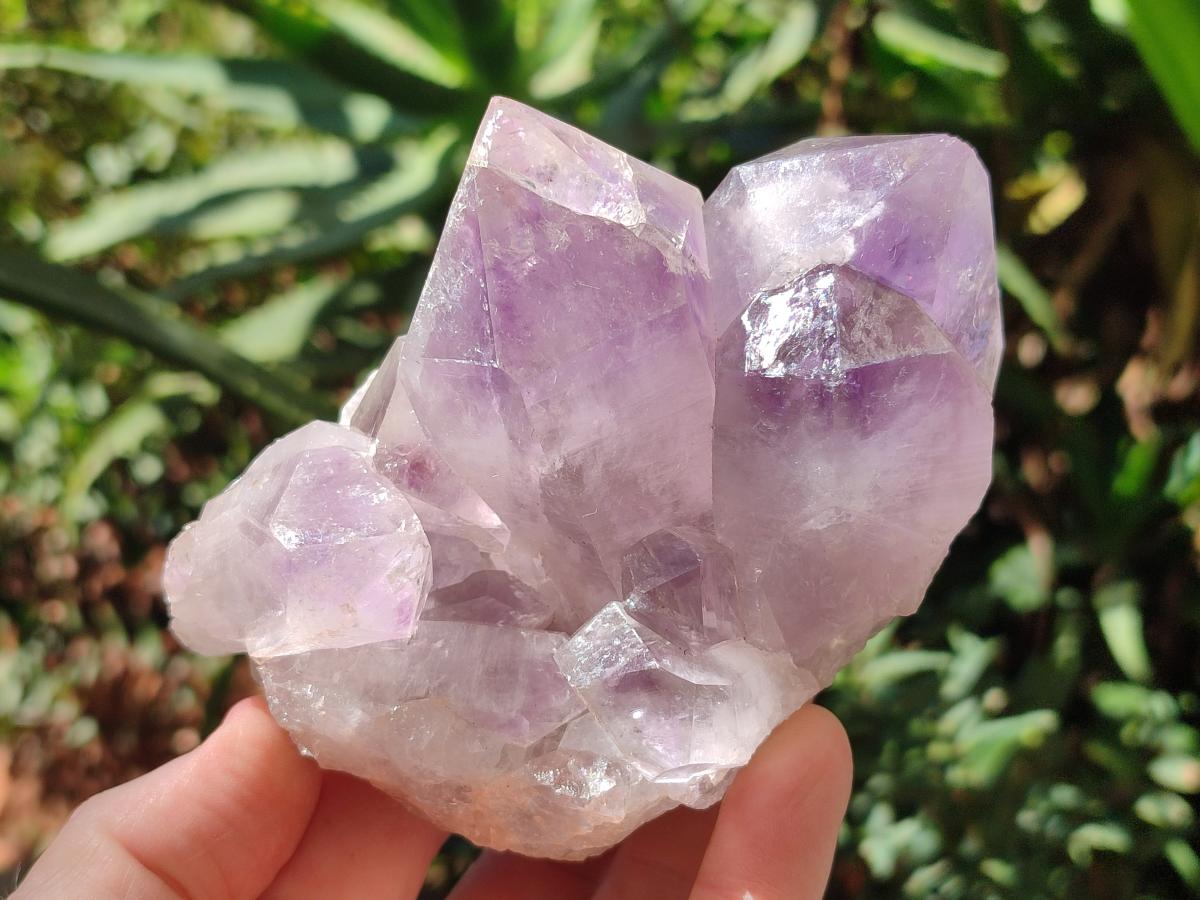Natural Jacaranda Amethyst Crystals and Clusters x 8 From Zambia