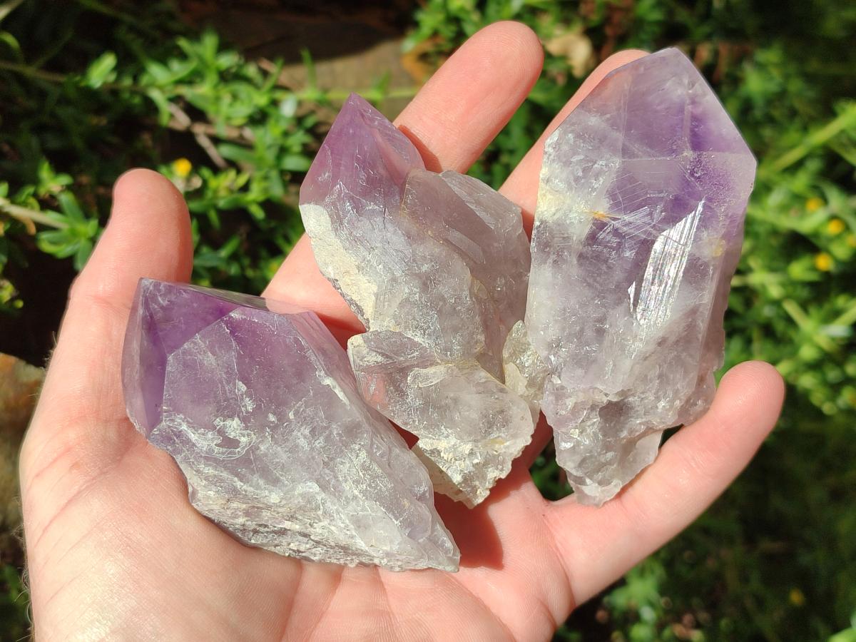 Natural Jacaranda Amethyst Crystals and Clusters x 8 From Zambia