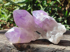 Natural Jacaranda Amethyst Crystals and Clusters x 8 From Zambia