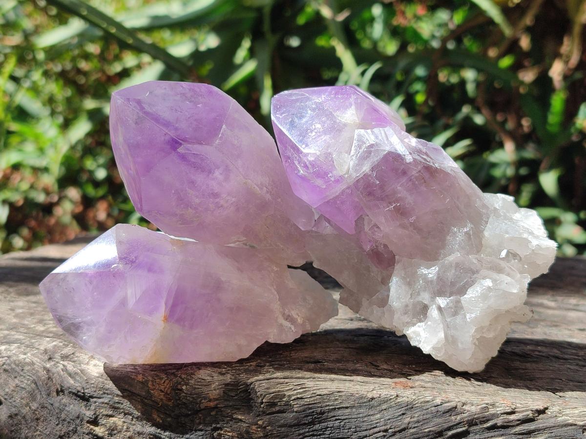 Natural Jacaranda Amethyst Crystals and Clusters x 8 From Zambia