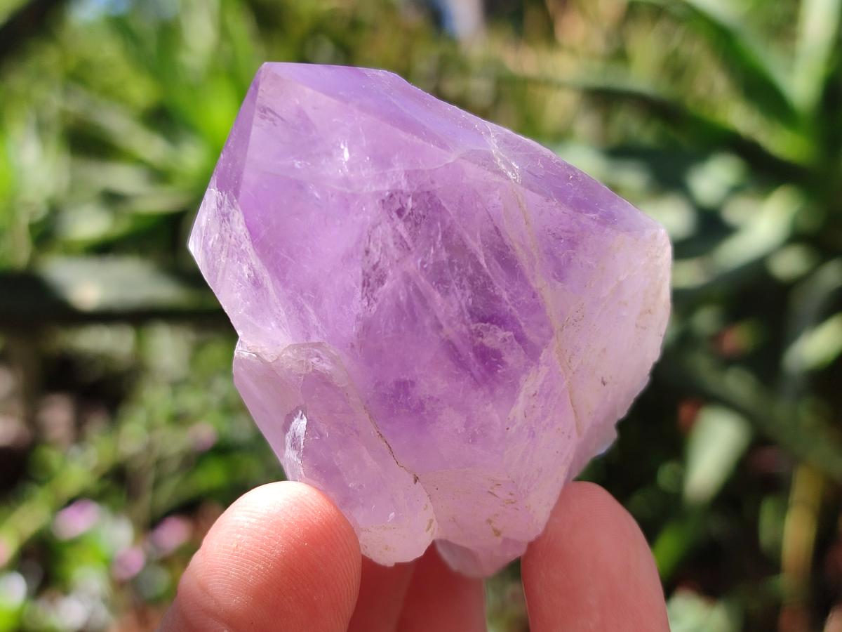 Natural Jacaranda Amethyst Crystals and Clusters x 8 From Zambia