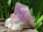 Natural Jacaranda Amethyst Crystals and Clusters x 8 From Zambia