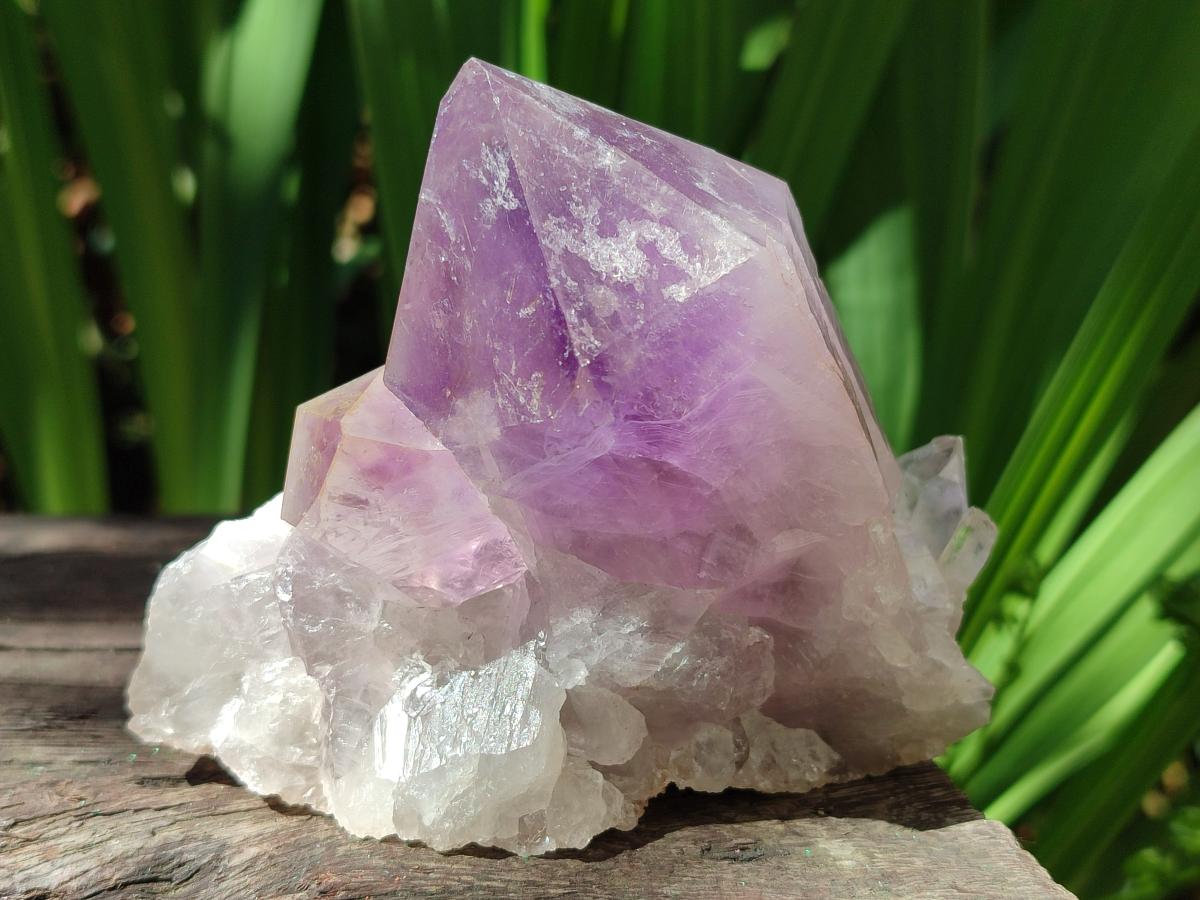 Natural Jacaranda Amethyst Crystals and Clusters x 8 From Zambia