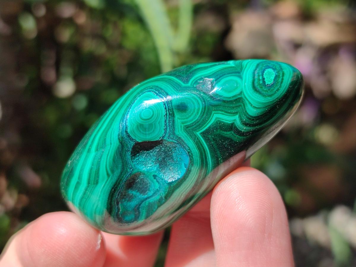 Polished and Natural Flower Banded Malachite Free Forms x 20 From Congo
