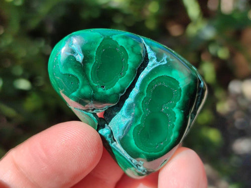 Polished and Natural Flower Banded Malachite Free Forms x 20 From Congo