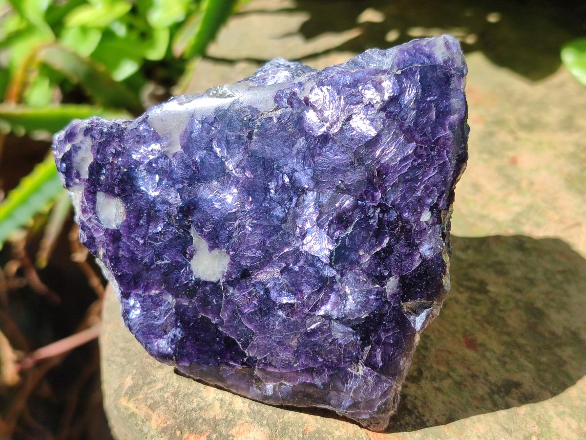 Polished One Side Silver Leaf Lepidolite Slices x 6 From Zimbabwe