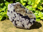 Polished One Side Silver Leaf Lepidolite Slices x 6 From Zimbabwe