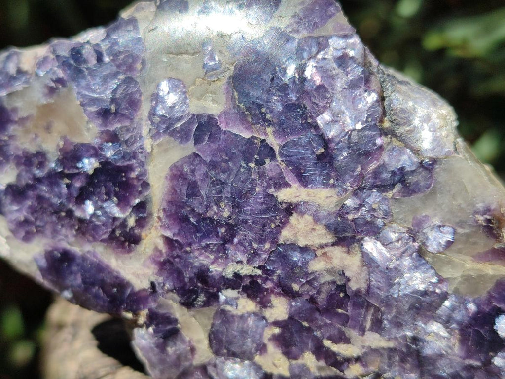 Polished One Side Silver Leaf Lepidolite Slices x 6 From Zimbabwe
