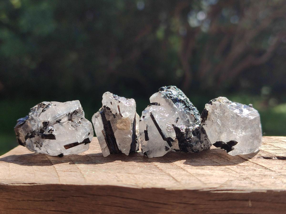 Natural Black Tourmaline Specimens in Quartz x 72 From Zambia