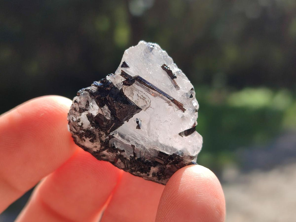 Natural Black Tourmaline Specimens in Quartz x 72 From Zambia