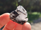 Natural Black Tourmaline Specimens in Quartz x 72 From Zambia
