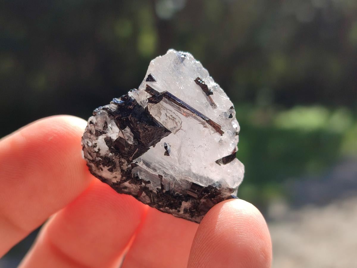 Natural Black Tourmaline Specimens in Quartz x 72 From Zambia