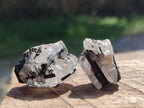 Natural Black Tourmaline Specimens in Quartz x 72 From Zambia