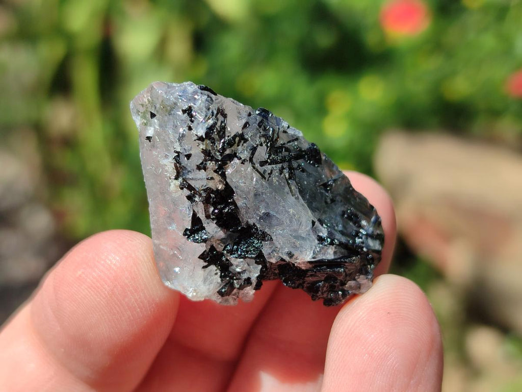 Natural Black Tourmaline Specimens in Quartz x 72 From Zambia
