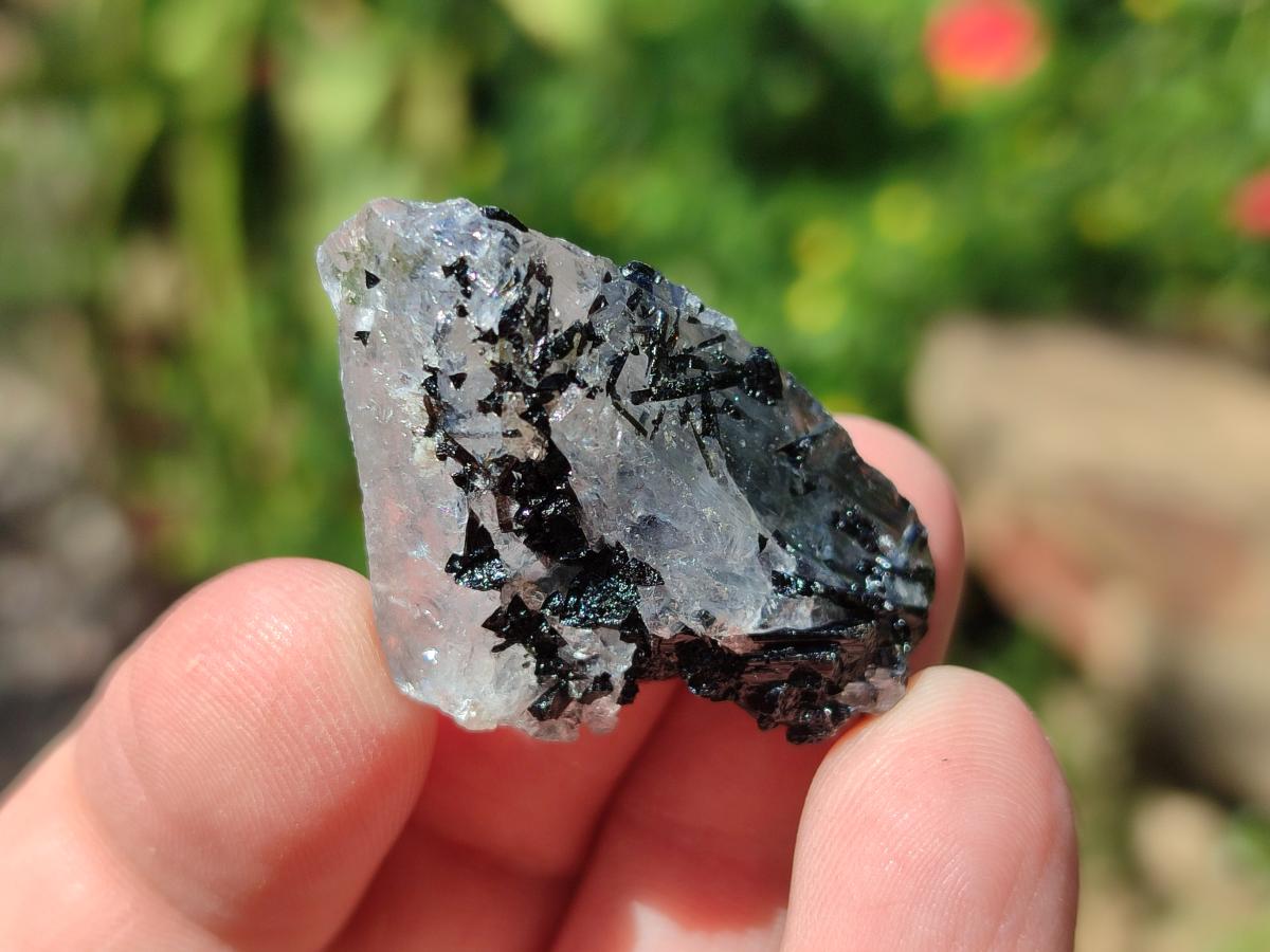 Natural Black Tourmaline Specimens in Quartz x 72 From Zambia