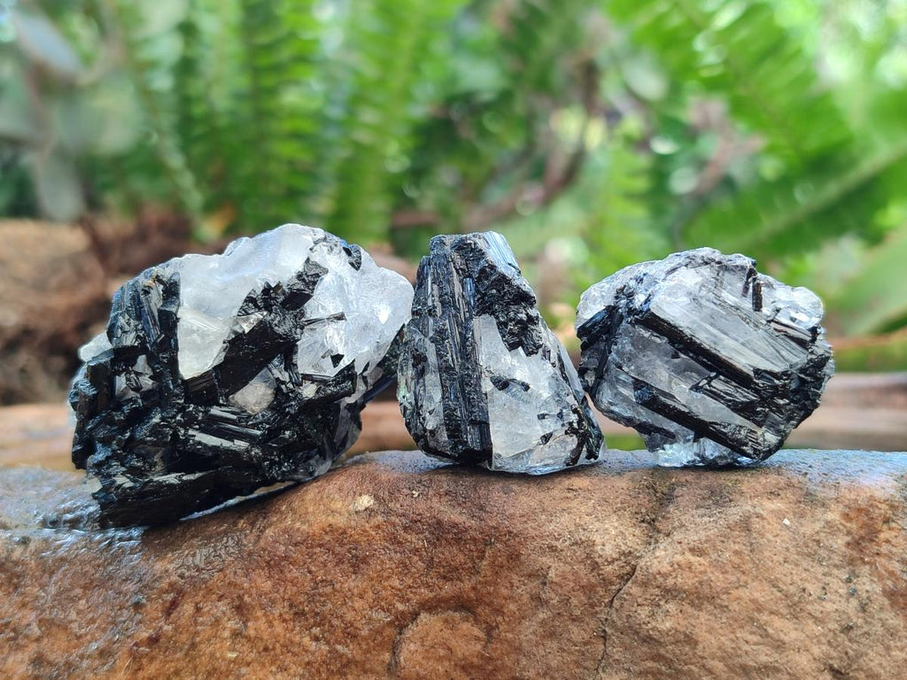 Natural Black Tourmaline Specimens in Quartz x 72 From Zambia