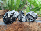 Natural Black Tourmaline Specimens in Quartz x 72 From Zambia