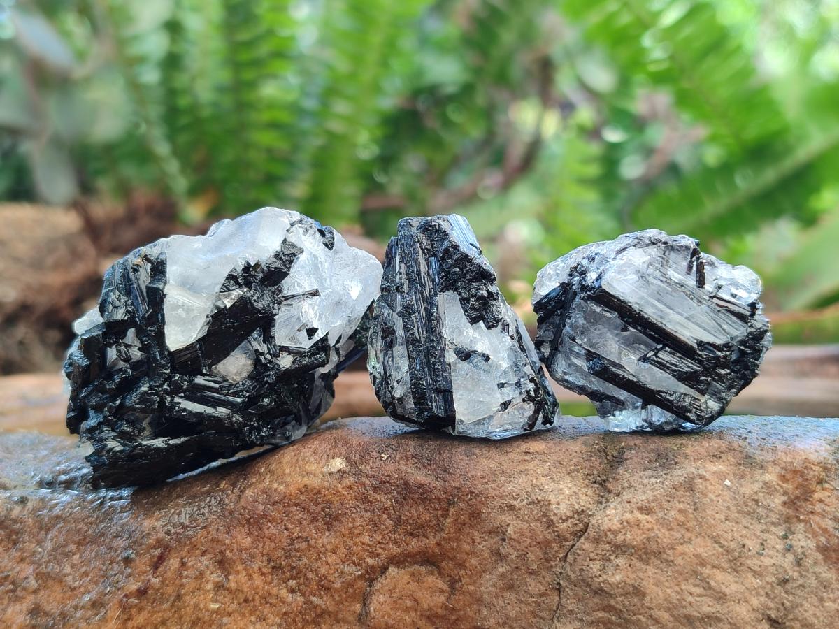Natural Black Tourmaline Specimens in Quartz x 72 From Zambia