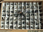 Natural Black Tourmaline Specimens in Quartz x 72 From Zambia