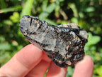 Natural Black Tourmaline Specimens in Quartz x 72 From Zambia