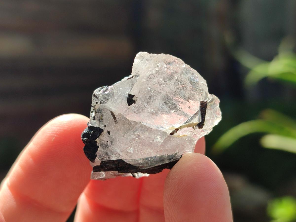 Natural Black Tourmaline Specimens in Quartz x 72 From Zambia
