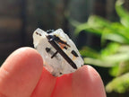 Natural Black Tourmaline Specimens in Quartz x 72 From Zambia