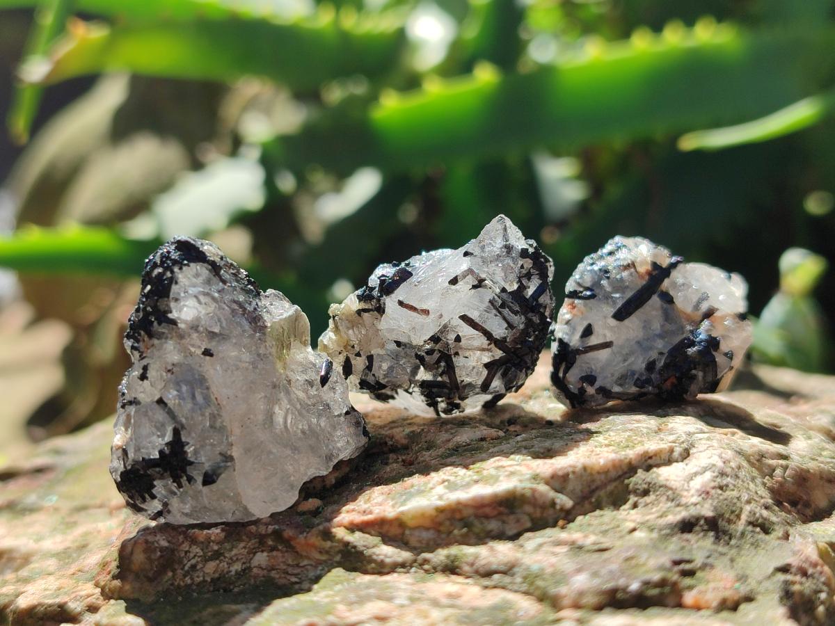 Natural Black Tourmaline Specimens in Quartz x 72 From Zambia