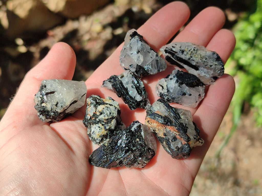 Natural Black Tourmaline Specimens in Quartz x 72 From Zambia