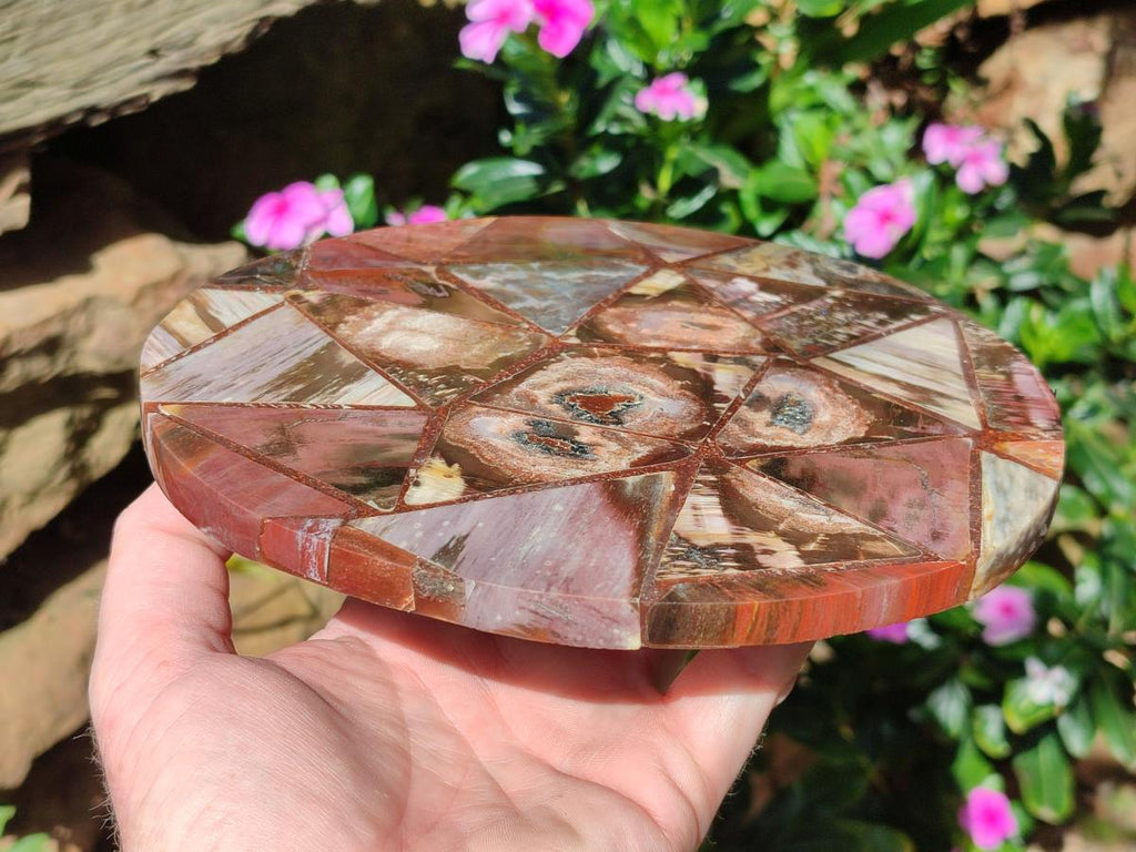 Hand Made Red Podocarpus Petrified Wood Conglomerate Plaque x 2 From Mahajanga, Madagascar