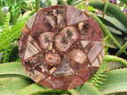 Hand Made Red Podocarpus Petrified Wood Conglomerate Plaque x 2 From Mahajanga, Madagascar